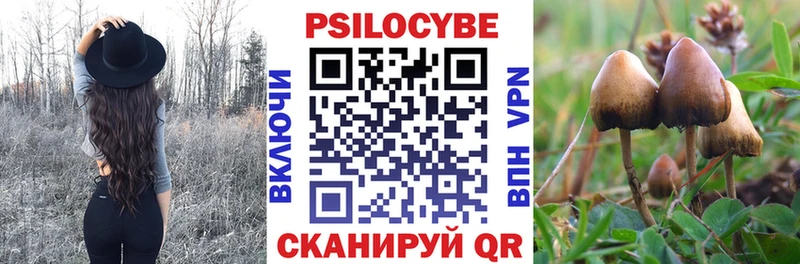 купить наркотики сайты Льгов Псилоцибиновые грибы мухоморы